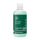 Paul Mitchell Tea Tree Special Shampoo - Cleansing Shampoo für die tägliche Haarwäsche, Haar-Pflege Shampoo für alle Haartypen entfernt Unreinheiten 300 ml (1er Pack)