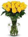 BENCHMARK BOUQUETS - 24 Stem Yellow Roses (Glass Vase Included), Next-Day Delivery, Gift Fresh Flowers for Birthday, Anniversary, Get Well, Sympathy, Graduation, Congratulations, Thank You