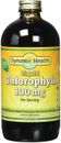 Dynamic Health Chlorophyll 100 mg Per Serving 473ml Liquid - Image May Vary