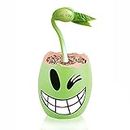 Magic Egg Plant Live Creeper with I Love You Message - Set of 2