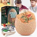 Dino Eggs Kit 12 Pack Dinosaur Eggs Excavation Science Experiments Kits For