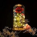 SW Red Silk Rose Flower Preserved Plastic Beauty Red Roses Flowers in Glass Dome on Wooden Base, Gift for Valentine's Day, Mother's Day, Thanksgiving Day, Christmas, Birthday, Anniversary