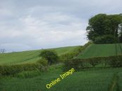 Foto 6x4 Cereales cerca de Alnwick Un poco temprano para identificación de largo alcance, c2014