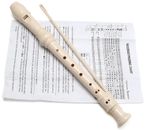 Traditional Recorder Beginner Musical Instrument and Instructions & Cleaning Rod