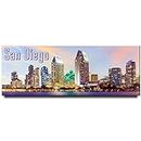 San Diego panoramic fridge magnet California travel souvenir