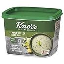 Knorr Classic Cream of Leek Soup Mix, 25 Portions (Makes 4.25 L)