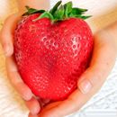 200 Giant Strawberry Seeds  Edible For Home Garden Plants Fruits Seed