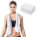 desired body Fitness Gym Towels (2 Pack) for Workout, Sports and Exercise - Soft, Lightweight, Quick-Drying, Odor-Free