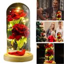 Beauty and The Beast Rose Enchanted Rose in a Glass Rose LED Artificial Flower