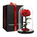 LOVAPPY Eternal Enchanted Preserved Rose - Infinity Rose in Glass Dome - Made from Real Fresh Beauty Rose - Romantic Gifts for Female - Valentines Day - Gift for Mom (red, 9 inch)