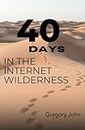 40 Days in the Internet Wilderness