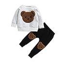 WZTYYDS Toddler Boy Clothes 2T 3T 4T 5T Fall Outfits Baby Pullover & Pants Sets Kids Winter 2Pcs Sweatsuit