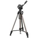 Hama Camera Tripod Star 61 (Light Tripod with 3-Way Head, Photo Tripod with 60-153cm Height, Tripod incl. Carrying case, Camera Tripod Suitable for SLR and System Cameras), Champagne