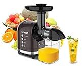 Masticating Juicer for Fruits and Vegetables Smart Home Juicer Extractor for Tomato Celery Orange Juice Cold Press Juicer Machiens with Quiet Motor BPA-FREE, Easy to Clean with Cleaning Brush