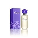 Paul Sebastian Women's Perfume, Fragrance by Paul Sebastian, Day or Night Scent, Eau de Parfum, CASUAL, 4 Fl Oz