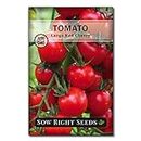 Sow Right Seeds - Large Red Cherry Tomato Seeds for Planting - Non-GMO Heirloom Packet with Instructions to Plant a Home Vegetable Garden - Tasty Snacking Variety, Start Indoors - Indeterminate (1)
