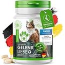 TreuePfote® - 100 Gelenktabletten Made in Germany für Hunde mit MSM, Grünlippmuschel und Teufelskralle - hohe Akzeptanz beim Hund - reicht für 6 Monate