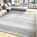 Modern Abstract Area Rug 5x7 Rugs for Living Room Bedroom-Carpet Machine Washable Rugs for Bedroom Dining Room Living Room Rug- Contemporary Neutral Grey Aesthetic Home Decor