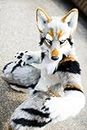 PROPSCOS Long Fur Furry Costume Husky Dog Fox Mascot Costume Fursuit Wolf (XL)