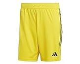 Adidas Homme Shorts (1/4) Short Tiro 23 League, Team Yellow/Black, IB8085, L
