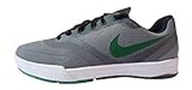 Nike SB Paul Rodriguez 9 Elite Mens Trainers 749563 Sneakers Shoes, Cool Grey Pine Green White Black 031, us 7