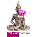 Termale tibetana: Campane tibetane con suoni della natura per massaggi e relax