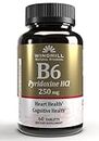 Pack of 3 EACH WM VITAMIN B-6 250MG 60'S PT3504600124 [Health and Beauty]