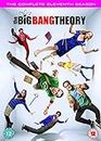 The Big Bang Theory: Season 11 [DVD] [2017] [2018]
