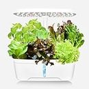 Hydroponics Growing System, GREENFEAST 06 Pods Indoor Herb Garden Starter Kit with LED Grow Light, Smart Germination Kit Garden Planter for Family Home Kitchen with Cycle Timing Function