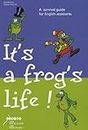 It's a frog's life: A survival guide for English assistants