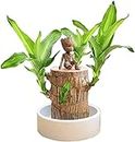 Mini Brazil Lucky Wood -Magical Sprouting Lucky Bamboo Wood -Brazilian Lucky Wood Plant -Wood Stump -Hydroponic Plant -Lucky Bamboo Plants Indoor Live -Indoor Office Desktop Plantr (Wood+Doll)