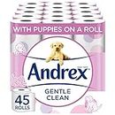 Andrex Gentle Clean Toilet Rolls - 45 Toilet Roll Pack - Bulk Buy Toilet Rolls - Gentle and Soft on Your Family's Skin - Dermatologically Tested