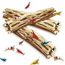 SunGrow Natural Cholla Wood, Aquarium Decoration and Chew Toys for Small Pets, Artistic Home-Decor, Long Lasting Driftwood, 3 Pieces