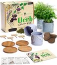 HOME GROWN 4 Herb Garden Starter Kit Indoor