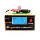 Etrogo Trickle Battery Charger 10A 12V/24V Auto Recognition Car Battery Fast Charger Intelligent Pulse Maintainer Auto Stop Charging Function with Large LED Screen for Car Boat Marine