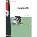 Sans Famille: B1 (Lff (Lire En Francais Facile))