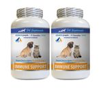 dog antioxidant supplements - PET IMMUNE SUPPORT 2B- dog turmeric chews