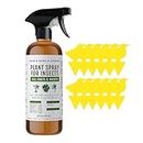Plant Spray Bottle for Insects with 12 Fruit Fly Traps and Peppermint Oil (16oz) - Kate's Home & Garden. Fungus Gnat Killer for Indoor Plants & Outdoors. Sticky Traps for Fruit Flies & Spider Mites