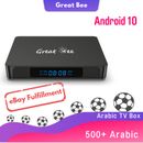Best Arabic TV Box Android 10 500+ Arabic Live TV 1 Year IP Receiver Arab TV Box