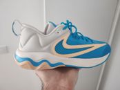Chaussure Homme Nike Giannis Immortality 3