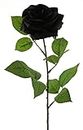 mucplants Rose 64cm schwarz Kunstblumen künstliche Blumen Seidenblumen Rosen Rosaceae