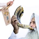 Handcrafted Kosher Ram Shofar from Israel – 14"-16" Musical Horn with Shofar Bag