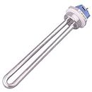 DERNORD 12V 300W DC Immersion Heater Submersible Water Heater Element Stainless Steel Heating Element with 1 Inch NPT Fitting
