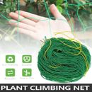 DIY Garden Plant Climbing Net Vegetable Flower Vine Trellis Support Fence Mesh