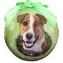 E&S Imports Jack Russell Ball Ornament Plastic in Brown/Green | 3 H x 3 W x 3 D in | Wayfair CBO-17