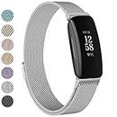 Vanjua for Fitbit Inspire 2 Bands Women Men, Stainless Steel Metal Mesh Loop Adjustable Magnetic Wristband Replacement Strap for Fitbit Inspire 2 Fitness Tracker (Large, Silver)