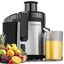 Juicer Machine, 500W Juicer for Fruit and Vegetable, Compact Centrifugal Juicer Extractor Juice Maker with 3-Speed Setting, Easy to Clean, Stainless Steel, BPA Free