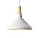 Mengjay Pendant Lamp Modern Hanging Light Vintage Ceilling Lighting Industrial Metal Chandelier for Kitchen Dining Room Restaurant E26 (White)