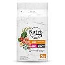 NUTRO NATURAL CHOICE Small Breed Adult Dry Dog Food Chicken & Brown Rice Recipe, 2.27kg (5LB) Bag