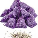 OLILLY Récolte 2023-25 Sachets Violets Foncés avec Lavande de Provence - 250 grammes